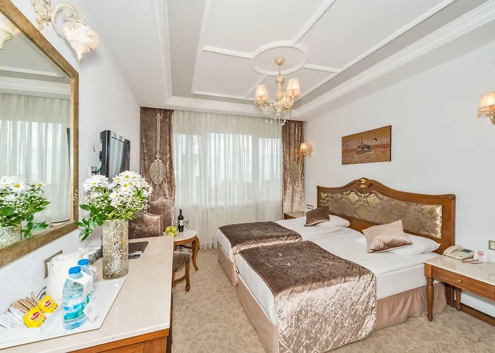 Antis Hotel-special Category