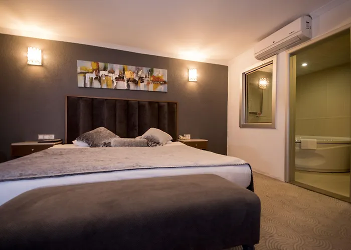 Antis Hotel-special Category Стамбул