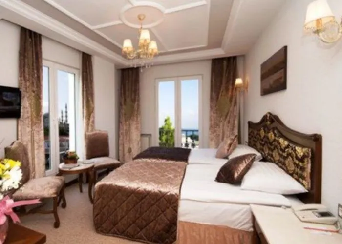 Antis Hotel-special Category