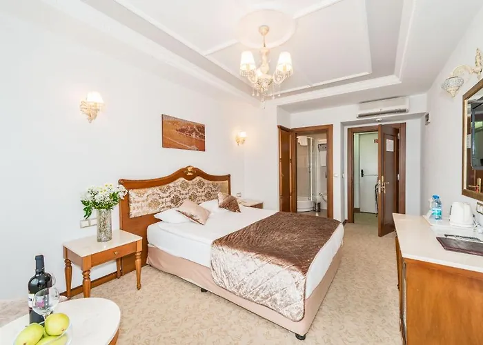 Antis Hotel-special Category 4*