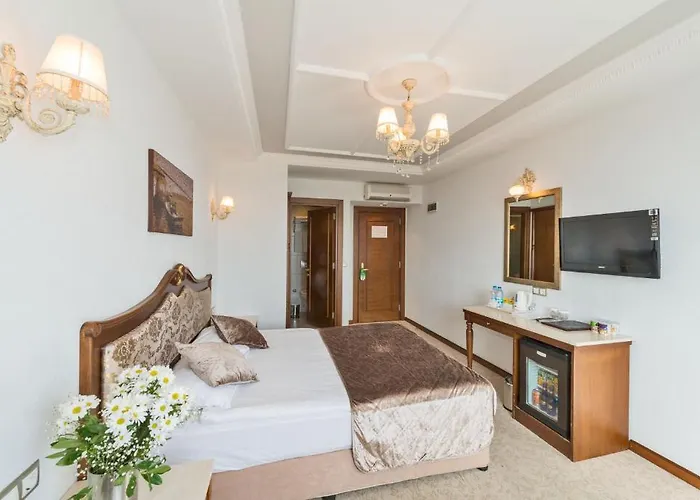 Antis Hotel-special Category 4* Стамбул