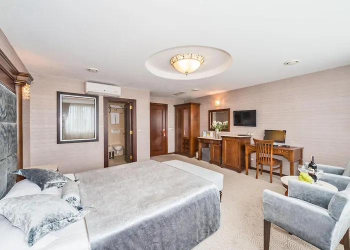 Antis Hotel-special Category 4* Стамбул